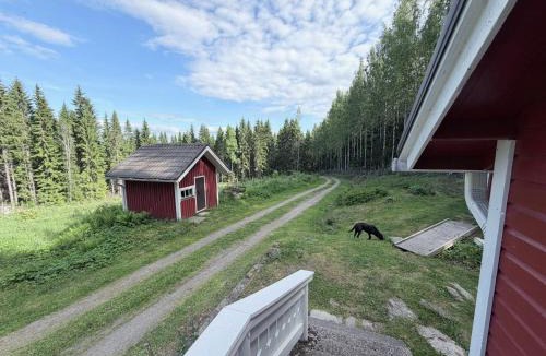 Koli National Park Ski Chalet | Metsäpirtti