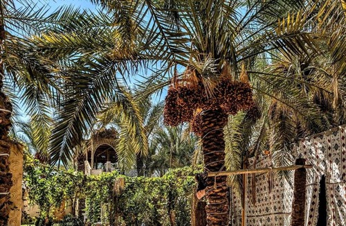 Siwa Ski Chalet | Mezorin Farm - Peaceful Eco-Retreat & Private Stay