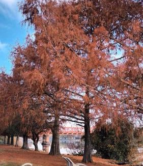 Gualeguaychu Apartment | Mi Espacio en Gualeguaychú