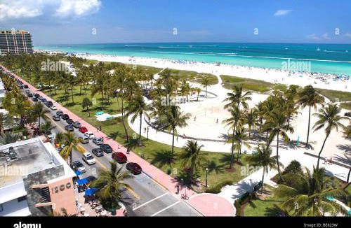 Little Haiti Apartment | Miami Studio Heated Pool Pet-Friendly