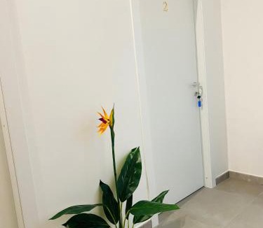 Pivarada Apartment | Micrea House Lido Beach