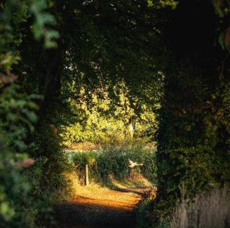 Alton House | Middledown