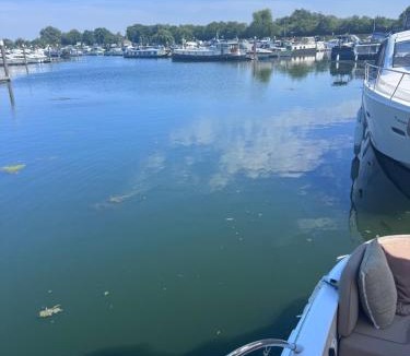 Runnymede Boat Rental | Midnight business