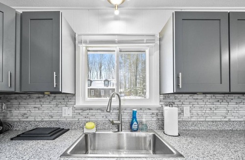 Streetsboro House | Mighty Duck & Black Bear 2 Hot Tubs On Lake At Heron Hill!