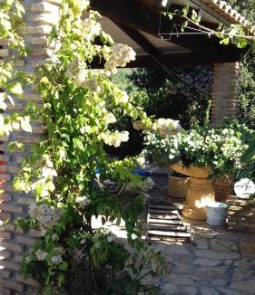 Kastro House | Mila LA villa