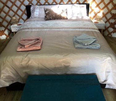 Colyton Other | Mill Stream Yurt