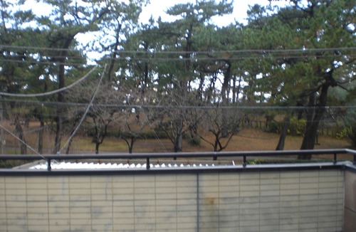 Numazu Hotel | Minato Oasis Numazu
