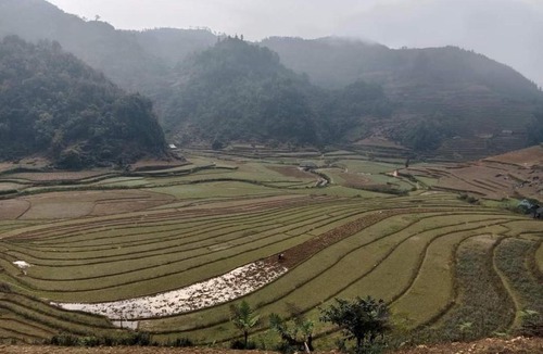 Bac Ha House | Minh _ Thắm