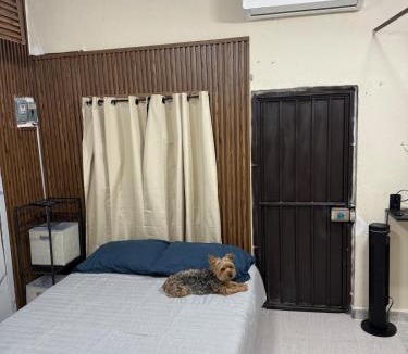Jiutepec Apartment | Mini Departmento