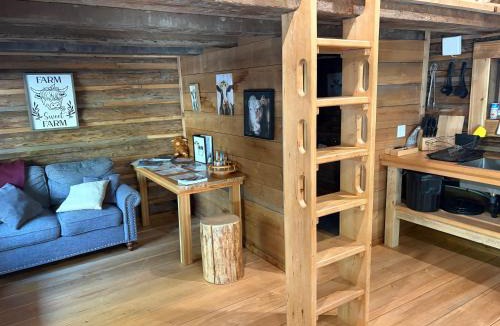 Clearwater Ski Chalet | Mini Moo-light Cabin