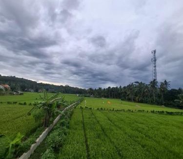 Batu Karas Hotel | Mini Ricefilds rooms