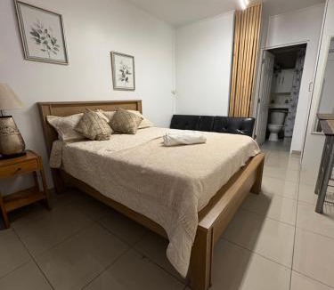 Cavancha Apartment | Minidepartamento