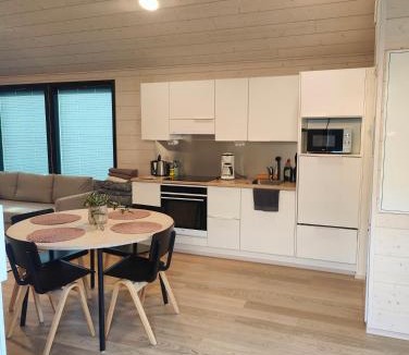 Kempele Apartment | Minikoti