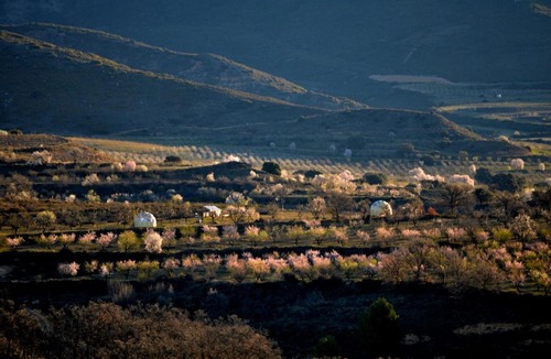 Bolea Other | Mirador de Pideago