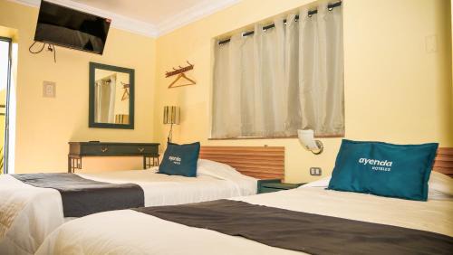 Alto Biavo Hotel | Mirador wayras