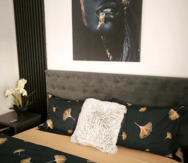 Baia Mare Apartment | Mirage Apartments