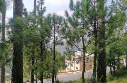 Loralai District Hotel | Miramonte Lodges