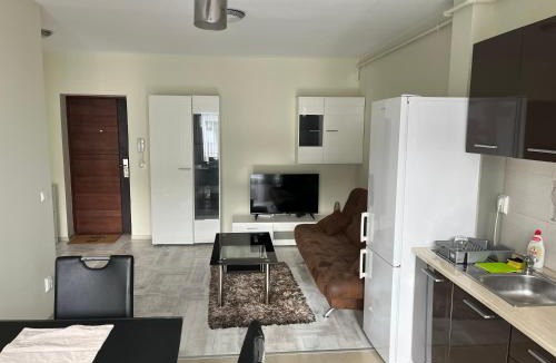 Lazaret Apartment | Mircea’ home Sibiu
