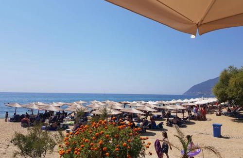 Plomari Hotel | MIRSINI HOTEL