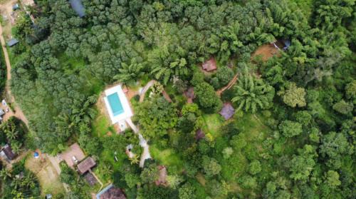 Sulthan Bathery Resort | Misty Night Wayanad Pool Resort