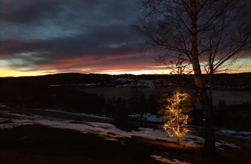 Hurdal Municipality Villa | Mjøshytte