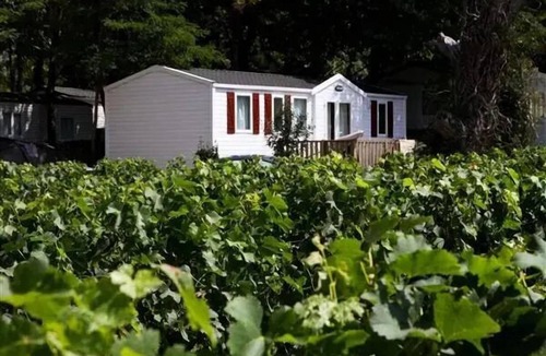 Petit-Palais-et-Cornemps House | Mobil Home Confort - 3 bedrooms (32m²) + Air conditioning + view vineyard 8 persons