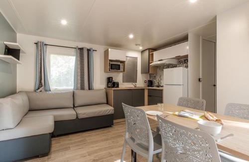 Concourson-sur-Layon Other | Mobil-home accueillant animaux - 8 pers. - API-1-52-2431