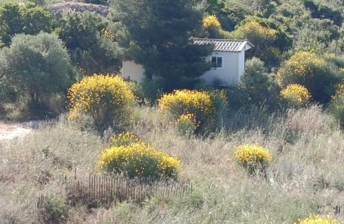 La Cadiere-d'Azur Other | Mobile home dans la garrigue vue mer