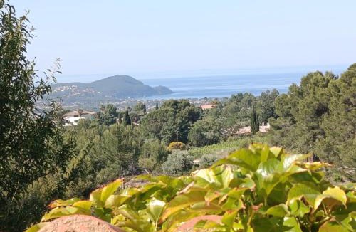 La Cadiere-d'Azur Other | Mobile home dans la garrigue vue mer