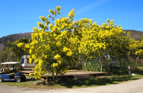 Arles-sur-Tech House | Mobile home with AC - 4 guests