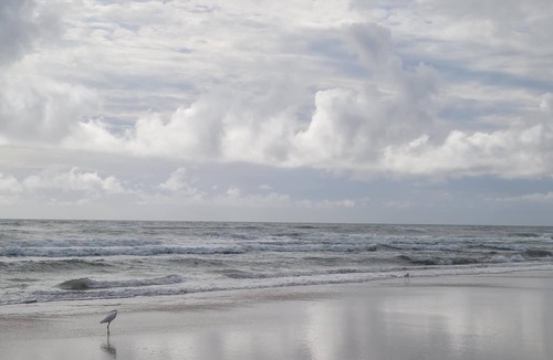 Daytona Beach Cottage | MODERN 1926 COTTAGE DOWNTOWN DAYTONA BEACH - PET FRIENDLY