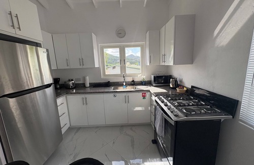 Bois d'Orange Apartment | Modern 2BD Aqua Apt with a stunning rooftop patio for sunbathing/relaxing, BBQ.