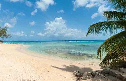 Little Battaleys Apartment | Modern 2BR Beachside Haven Ground Floor and Pool