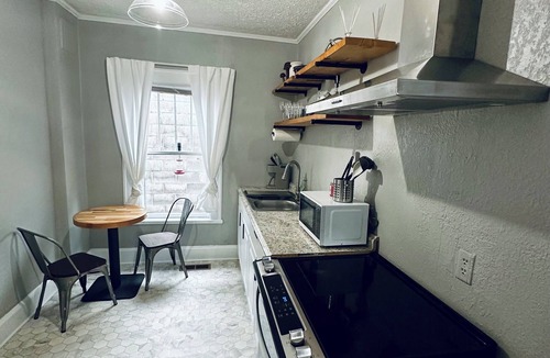 Leadsville Apartment | Modern 4-bedroom Duplex Apartment in Downtown Elkins beside Big Timber Brewing