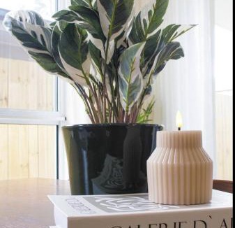 Pallara House | Modern 4-Bedroom Home in Pallara - Free Parking Close to Brisbane