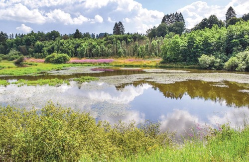 Buellingen Apartment | Modern and spacious vacation apartment near the Bütgenbach reservoir.