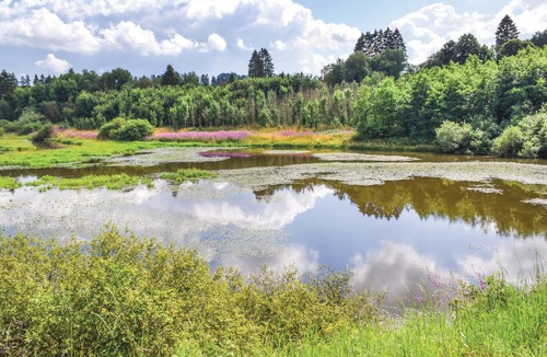 Buellingen Apartment | Modern and spacious vacation apartment near the Bütgenbach reservoir.
