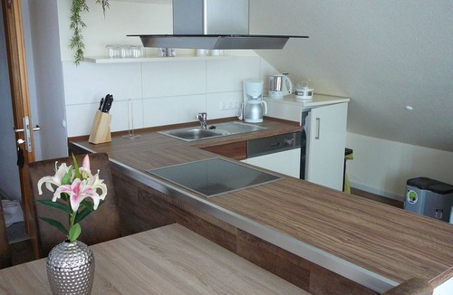 Siekholz Apartment | Modern apartment with air conditioning, porch, garden, sunbathing area, gazebo, pond