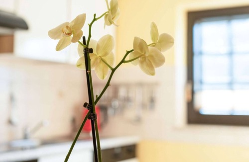 Merschbach Apartment | Modern Apartment in Merschbach Hunsruck
