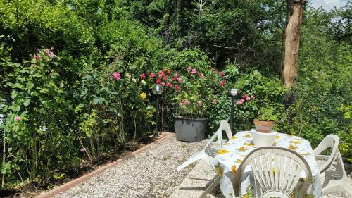 Borgo San Lorenzo Apartment | Modern apartment in Borgo San Lorenzo 50 m² with balcony