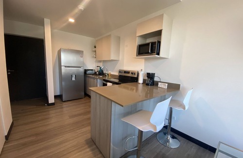Rohrmoser Apartment | Modern & Beautiful Studio with amazing views in San José