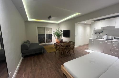Sheikh Zayed City Apartment | Modern chic rooftop studio