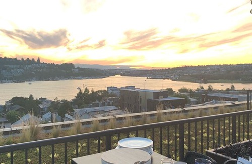 Eastlake Apartment | Modern Eastlake Unit Facing South Lake Union
