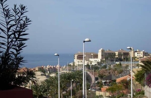 El Duque Apartment | Modern fully equipped apartment in exclusive area with pool.