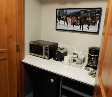 Mount Crested Butte Hotel | Modern King Room in Heart of Mt, Crested Butte