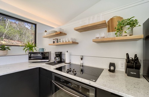 Pisgah Forest House | Modern Mountain-View Sanctuary in Pisgah Forest