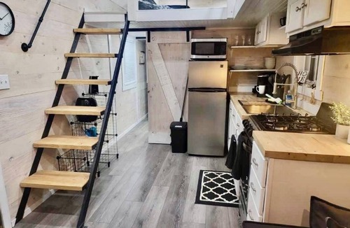 Hot Springs Cabin | Modern Nest Tiny Home