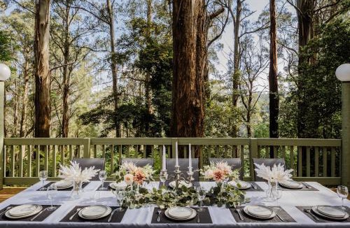 Sassafras House | Modern Seednest Treehouse, Forest & Mountain View