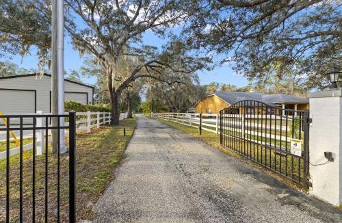 Port Richey House | Modern Spacious Getaway: Heated Pool, Movie Room, Huge Yard & Event-Friendly in New Port Richey, Florida