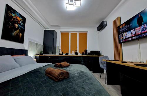 Onesti Apartment | Modern Studio 2